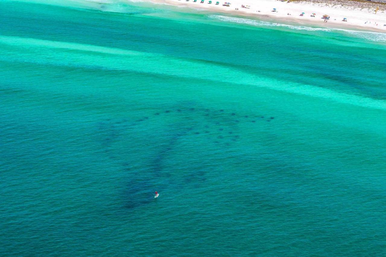 דסטין Caribbean Dunes 121 מראה חיצוני תמונה